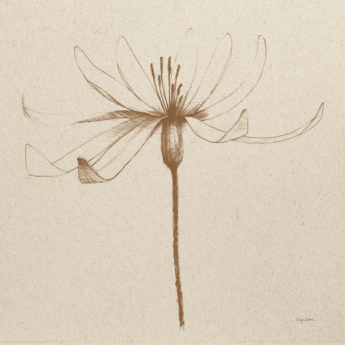 Modern Vintage Floral III Poster Print - Avery Tillmon # VARPDX74081