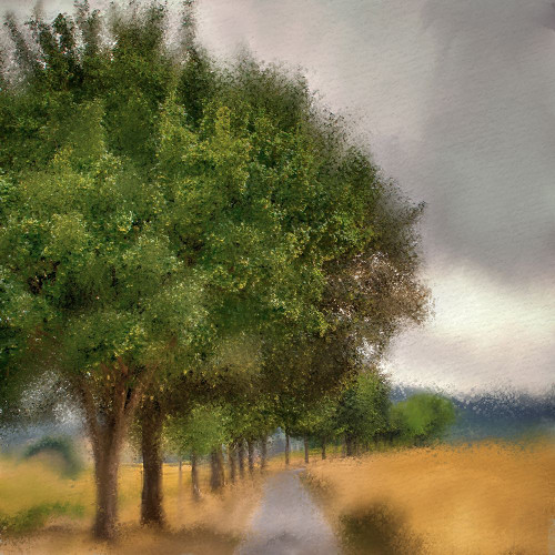 Dusky Sky Poster Print - Kimberly Allen # VARPDXKASQ3161A