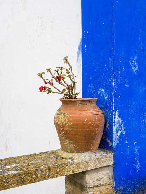 Portugal-Obidos-Plant in a terracotta pot on stone bench Poster Print - Julie Eggers # VARPDXEU23JEG0417 Portugal-Obidos-Plant in a terracotta pot on stone bench Poster Print - Julie Eggers # VARPDXEU23JEG0417