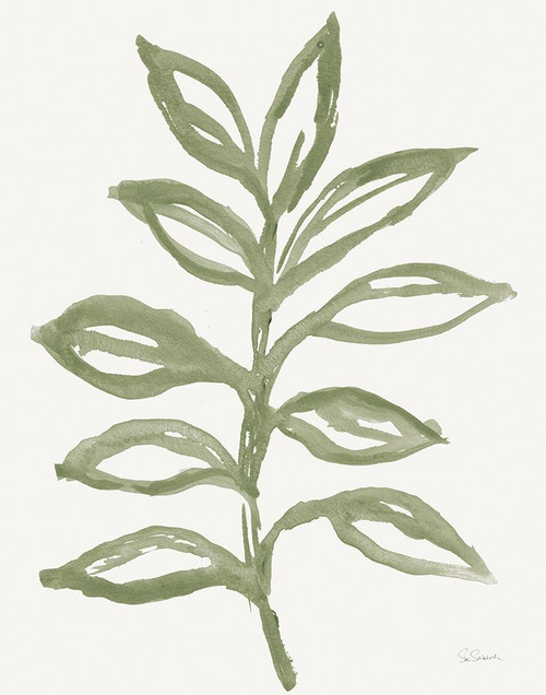 Nature in Sage II Poster Print - Sue Schlabach # VARPDX77857