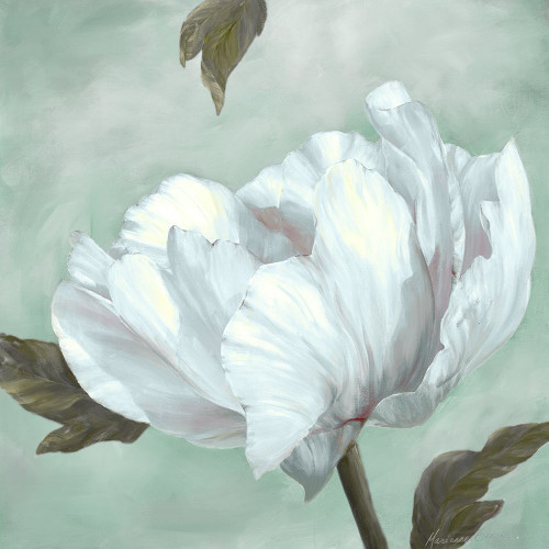 Precious Peony IV Poster Print - Marianne Broome # VARPDXBR062A
