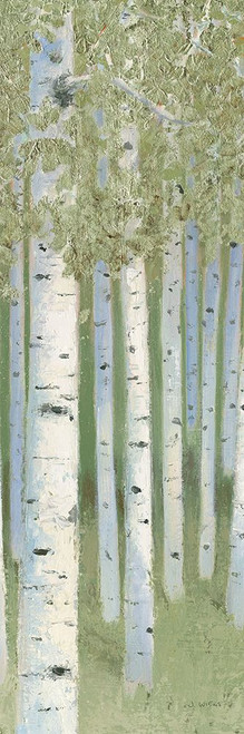 Green Forest II Poster Print - James Wiens # VARPDX73936