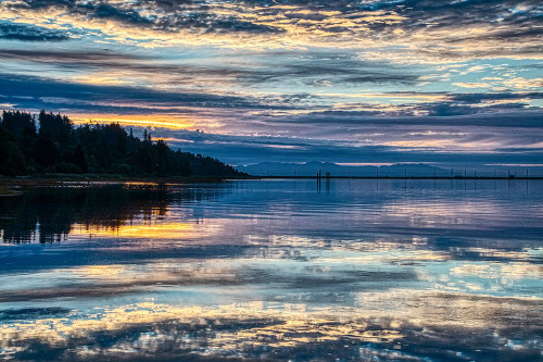 Lavender Morning Poster Print - Chuck Burdick # VARPDXB4218D