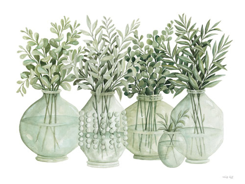 Simply Sage II Poster Print - Cindy Jacobs # VARPDXCIN3350