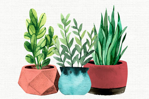 Summer Pots Poster Print - Kimberly Allen # VARPDXKARC3032B