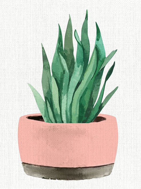 Planted 1 Poster Print - Kimberly Allen # VARPDXKARC3025A