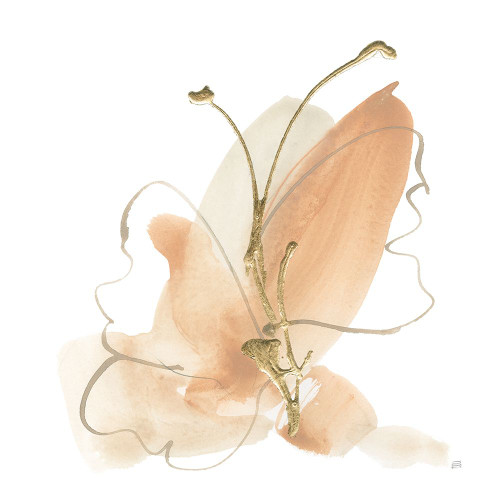 Butterfly Flower II Poster Print - Chris Paschke # VARPDX78867