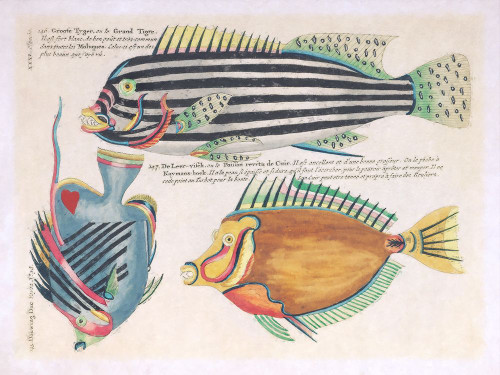 Repeating Image II Poster Print - Steve Hunziker # VARPDX81997