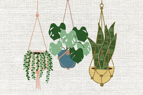 Burlap Hanging Plants Poster Print - Kimberly Allen # VARPDXKARC2986A