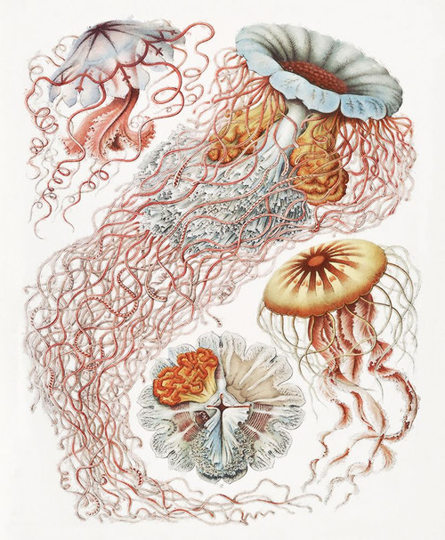 Repeating Image V Poster Print - Steve Hunziker # VARPDX82000