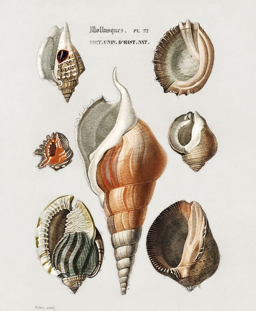 Repeating Image III Poster Print - Steve Hunziker # VARPDX81998