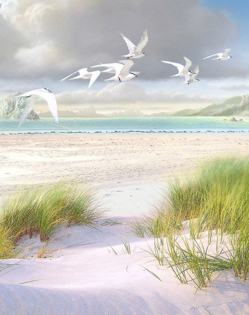 Celestial Tern III Poster Print - Steve Hunziker # VARPDX81995