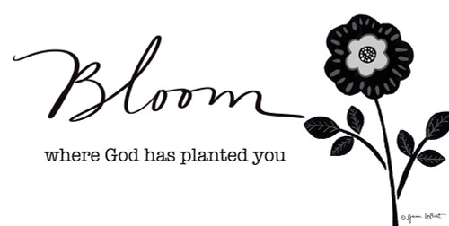 Bloom Poster Print - Annie LaPoint # VARPDXALP2173