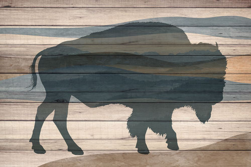 Bison Poster Print - Kimberly Allen # VARPDXKARC2920A