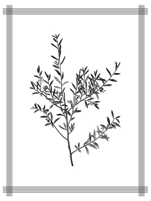 Pressed 3 Poster Print - Kimberly Allen # VARPDXKARC2908C