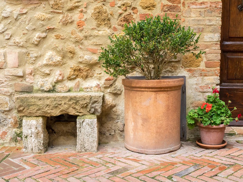 Italy-Tuscany-Pienza Potted plants and stone bench along the streets Poster Print - Julie Eggers # VARPDXEU16JEG1930