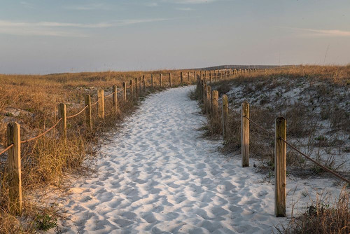 Beach Tracks Poster Print - Danny Head # VARPDX200781