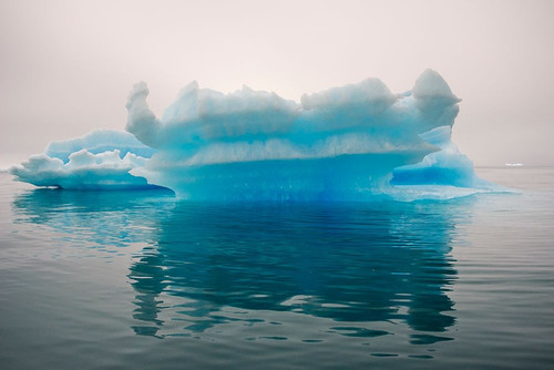 Blue iceberg in the fjord of Narsarsuaq-Greenland Poster Print - Keren Su # VARPDXGR01KSU0010