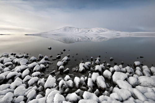 A Quiet Place Poster Print - Liloni Luca # VARPDX809697