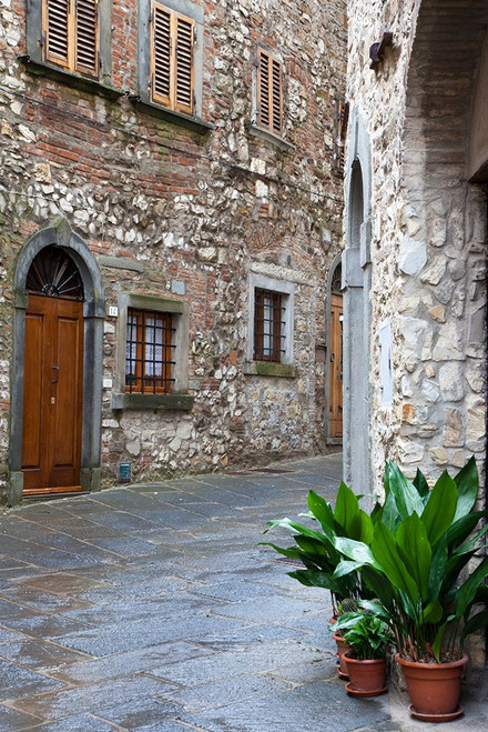 Italy-Radda in Chianti Street view of Radda in Chianti Poster Print - Julie Eggers # VARPDXEU16JEG1422