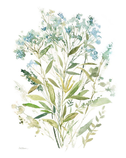 Garden Lace I Poster Print - Carol Robinson # VARPDX45882