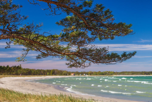 Sweden-Faro Island-Fifang-view of Ajkesvik Bay Poster Print - Walter Bibikow # VARPDXEU28WBI0997