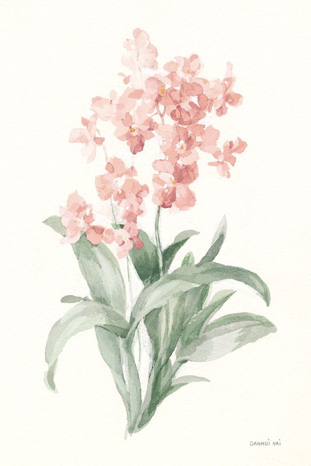Spring Orchid I Poster Print - Danhui Nai # VARPDX75763