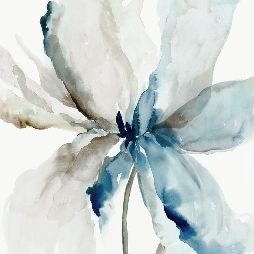 Blue Transparent Flower Poster Print - Asia Jensen # VARPDXJN698A