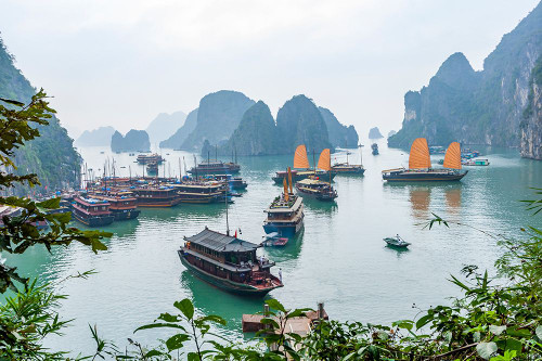 Bay-Vietnam-UNESCO World Heritage Site-Junks in the bay Poster Print - Tom Haseltine # VARPDXAS38THA0091