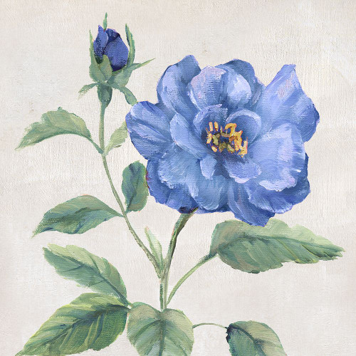 Blue Grandiflora II Poster Print - Nan # VARPDX45527