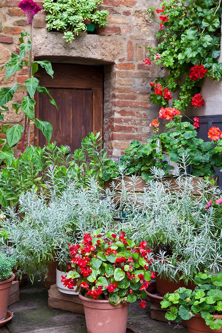 Italy-Tuscany-Pienza Potted plants in the corner of a street in the town of Pienza Poster Print - Julie Eggers # VARPDXEU16JEG1130