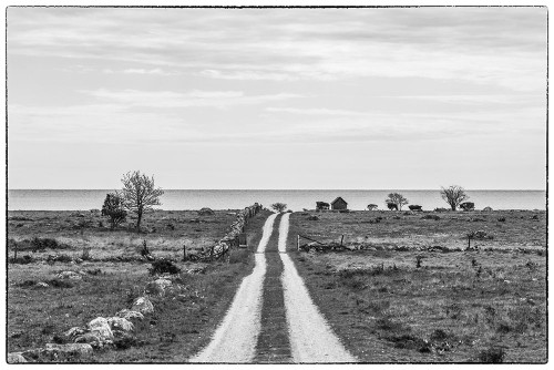 Sweden-Gotland Island-Sundre-country road-southern Gotland Poster Print - Walter Bibikow # VARPDXEU28WBI1132