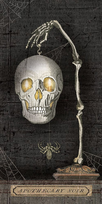 Apothecary Noir VII Poster Print - Sue Schlabach # VARPDX77436