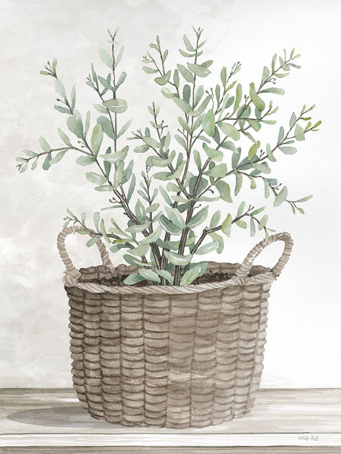 Eucalyptus Basket Poster Print - Cindy Jacobs # VARPDXCIN2727