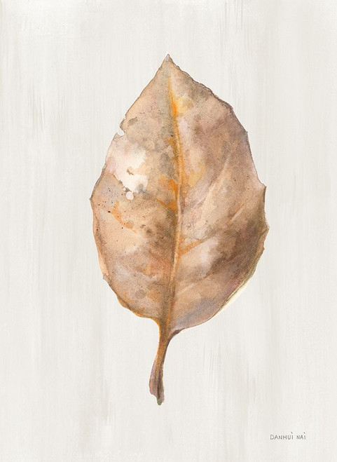 Fallen Leaf II Texture Poster Print - Danhui Nai # VARPDX74795