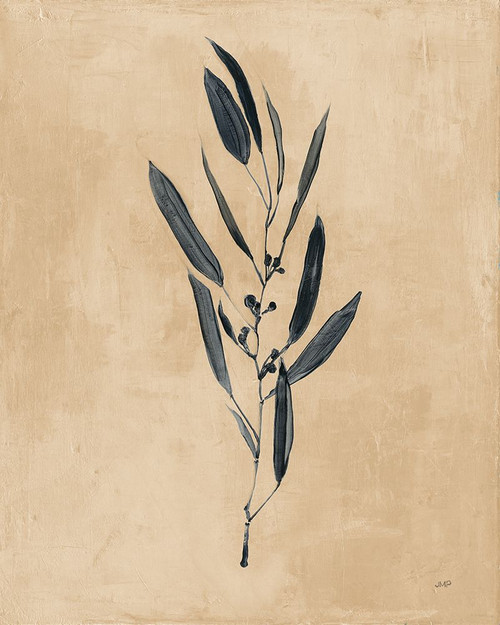 Botanical Study I Brown Poster Print - Julia Purinton # VARPDX67863