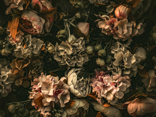 Dark Floral Arrangement Poster Print - Incado # VARPDXIN32922