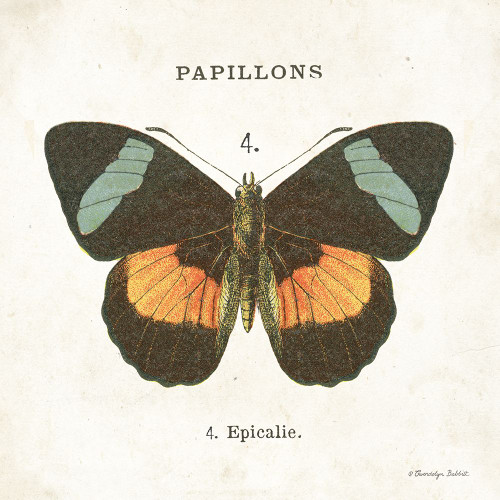 Butterfly IV Poster Print - Gwendolyn Babbitt # VARPDXBAB543 Butterfly IV Poster Print - Gwendolyn Babbitt # VARPDXBAB543