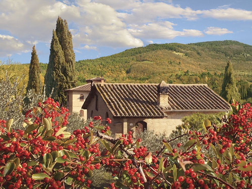 Colorful Countryside Poster Print - Alan Giana # VARPDXAG13