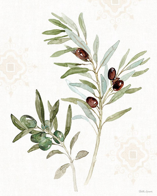 Mediterranean Motif IX Poster Print - Beth Grove # VARPDX77515