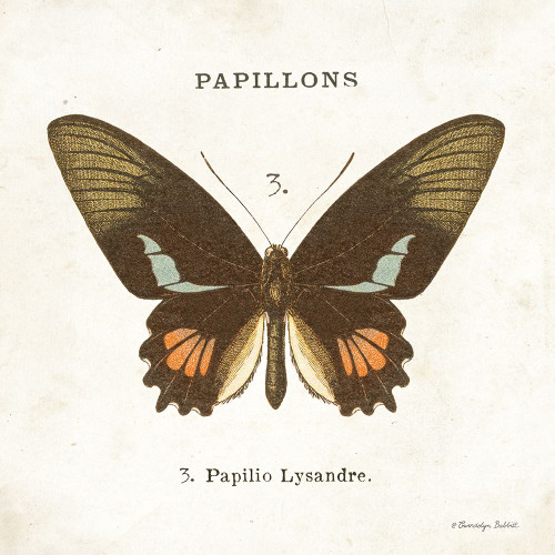 Butterfly III Poster Print - Gwendolyn Babbitt # VARPDXBAB542 Butterfly III Poster Print - Gwendolyn Babbitt # VARPDXBAB542