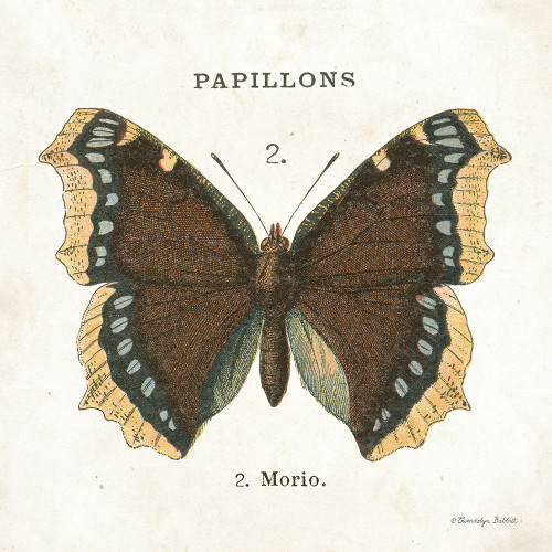 Butterfly II Poster Print - Gwendolyn Babbitt # VARPDXBAB541 Butterfly II Poster Print - Gwendolyn Babbitt # VARPDXBAB541