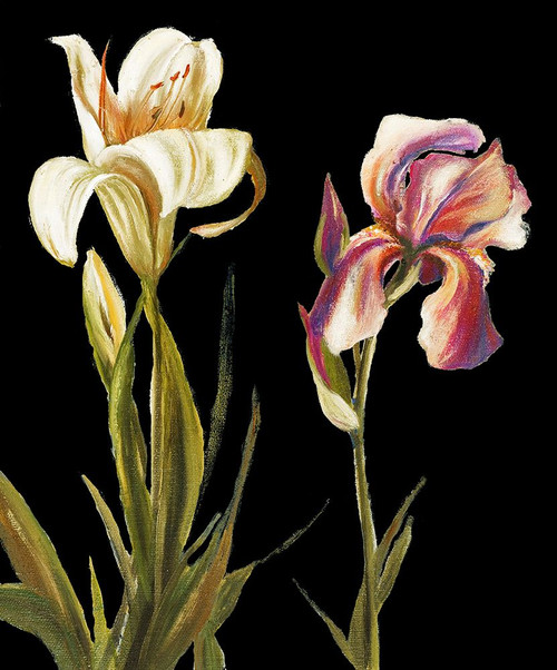 The Garden At Night II Poster Print - Patricia Pinto # VARPDX7298Q