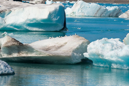 Icebergs in Jokulsarlon Glacial Lagoon-Iceland Poster Print - Keren Su # VARPDXEU14KSU0058