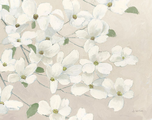 Dogwood Delight Cream Poster Print - James Wiens # VARPDX76360