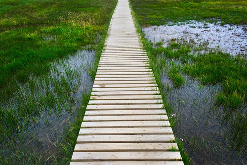 A plank pathway in Landmannalaugar-Iceland Poster Print - Keren Su # VARPDXEU14KSU0040