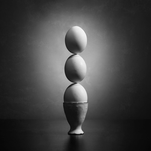 Well Balanced Diet 2 Poster Print - Victoria Ivanova # VARPDX913721