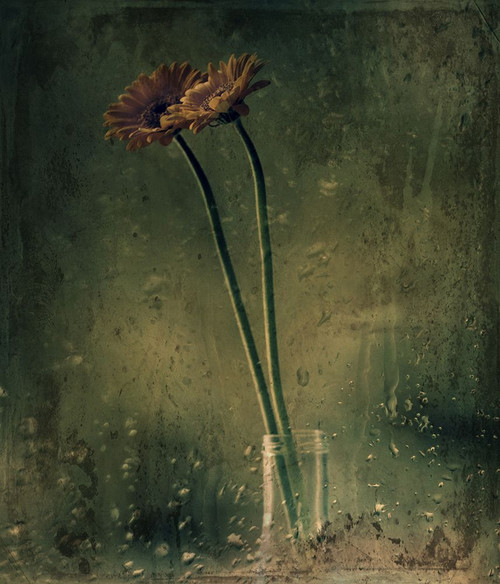 Rainy Day Poster Print - Delphine Devos # VARPDX833272