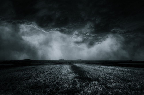 The Field Poster Print - Stefan Eisele # VARPDX272057