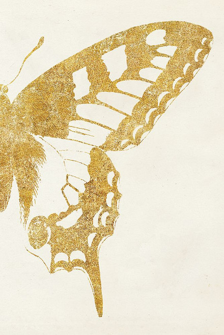 Butterfly Wings II Poster Print - Wild Apple Portfolio # VARPDX74515